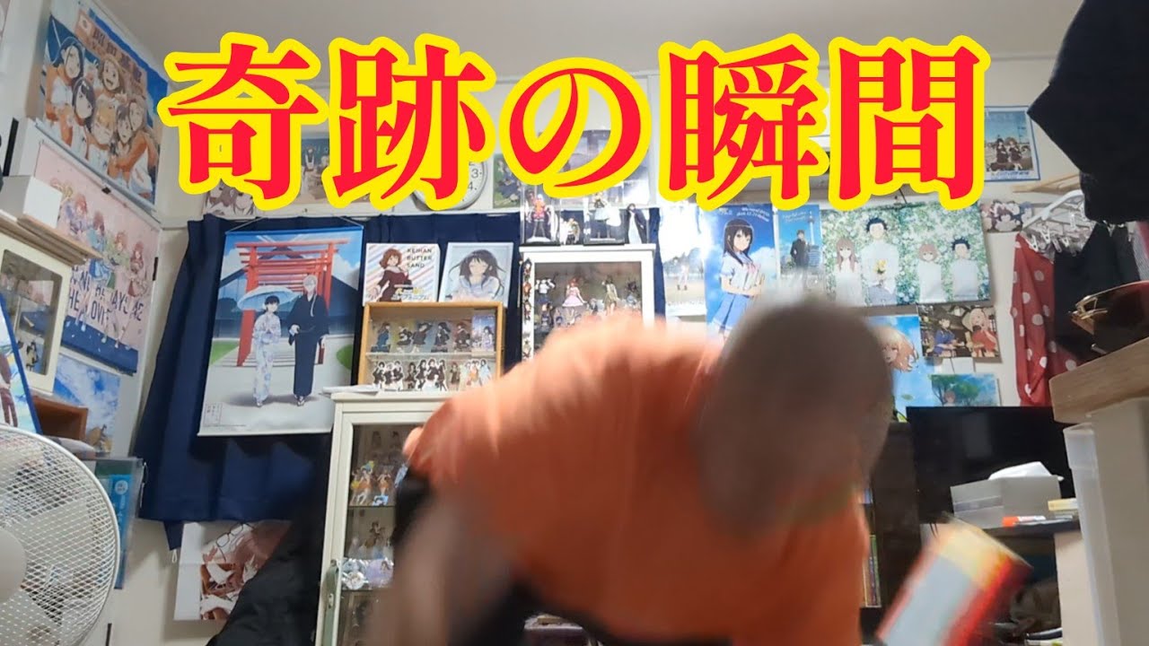 熱い練習(誰が興味あんねん) 奇跡の瞬間あり 熱い練習(誰が興味あんねん) 奇跡の瞬間あり