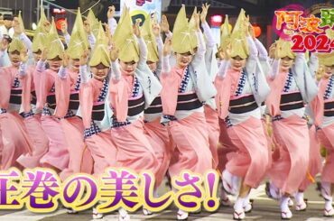 【怒涛の17連】阿波踊りの真髄！有名連の舞を一挙公開！
