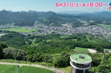 ロコレコ！は伊原六花！ゲストの旅は久本雅美と柴田理恵！「旅サラダ」8月31日（土）放送