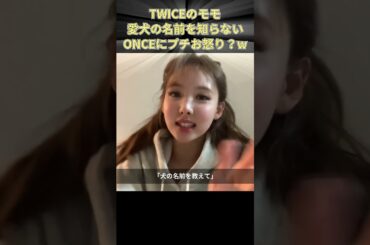 TWICEのモモ 愛犬の名前を知らないONCEにプチお怒り？w #kpop #jyp #twice