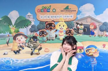 どうぶつの森の世界観が現実に！in八景島シーパラダイス