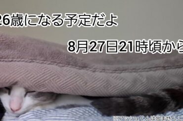 26歳になる予定だよ