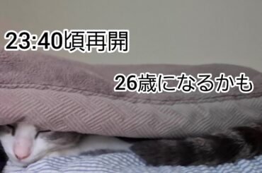 26歳になるかも