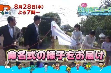 日向坂46 わけもん 週刊日向坂ニュース 新たに誕生「日向坂」命名式に密着！佐々木美玲 金村美玖