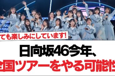 【日向坂46】今年、全国ツアーをやる可能性。【日向坂で会いましょう】#日向坂46 #日向坂で会いましょう #乃木坂46 #櫻坂46