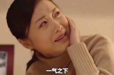 一口气看完《省委书记》全剧精彩解说