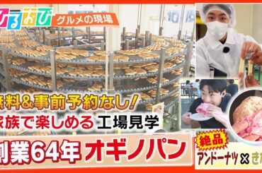 【ひるおび】懐かしの「あげパン」が揚げたてで食べられる大人気のパン工場見学に小沢光葵アナが潜入！パン工場見学や様々な出来立てパンを紹介