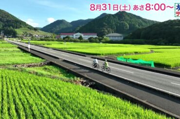 ロコレコ！は伊原六花！ゲストの旅は久本雅美と柴田理恵！「旅サラダ」8月31日（土）放送