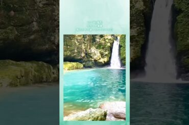 #自然の中でオカリナ #風のとおり道 #となりのトトロ #ジブリ #ジブリ作品 #にこ淵 #にこ淵ブルー #滝 #高知県 #仁淀川 #仁淀ブルー #オカリナ #オカリナ演奏 #吟オカリナ #short