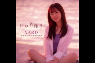 zard tribute 花火よ燃え尽きて海に舞い上がれ！