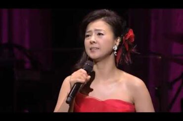 薬師丸ひろ子メインテーマ山田修司山田園江ささきいさおロボット軍団永井豪茨城県立常陸大宮高等学校野上五十満夏川りみ梅村恵美大場久美子渡洋史時空戦士スピルバン宇都宮大学コブクロ坂原秀尚下関国際高等学校