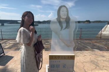 【顔合わせに密着】イルカに会える天草旅！家族で最高の思い出を作れるか？⋆⸜🐬⸝⋆絶景にイルカにグルメ全部盛り✨️