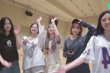 🌸🌸宮脇咲良 Sakura Live '응원법이 많이 어렵죠. 르세라핌이 직접 알려드립니다🗣' weverse 310824