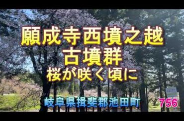 756願成寺西墳之越古墳群　桜が咲く頃に