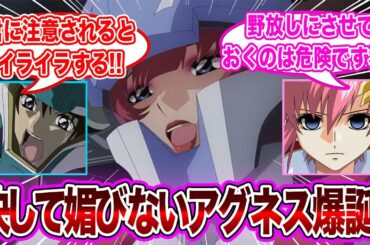 【IF】「キラ狙いは変わらないが媚びようとしない世界線のアグネス」に対するネット民の反応集【機動戦士ガンダムSEED FREEDOM】