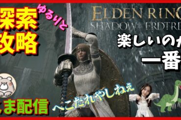 800時間超えてもまだまだ楽しい褪せ人生活　複数キャラ育成中　魔法剣士編【エルデンリング】