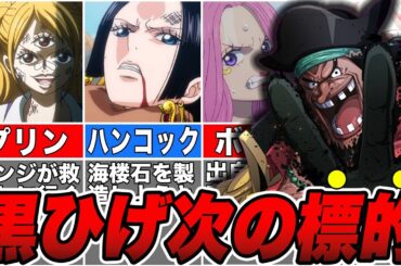 【ワンピース】美女たちを狙う黒ひげ海賊団！ティーチが次に狙う人物は〇〇！【ゆっくり解説】