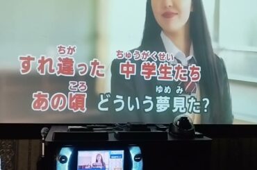 【歌ってみた】AKB48「抱きしめちゃいけない」