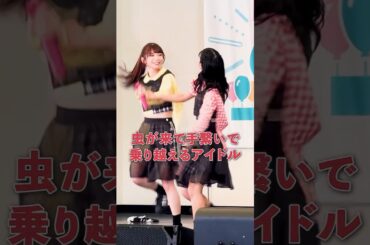 【ギャー！虫が飛んで来ても可愛いアイドル】アイカザスパイ 推しカメラ「りスタート」 #豆柴の大群 #アイドル #idol #推し活 #アイカ・ザ・スパイ #レオナエンパイア