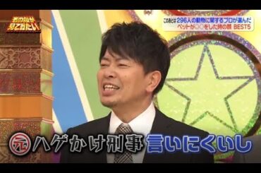 【その顔が見てみたい】🙈🙉 「上戸彩の母が選んだ娘・彩の もっとも可愛いと思う子どもの頃の顔」