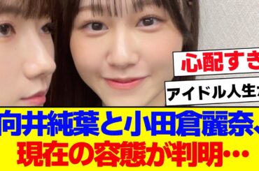 【櫻坂46】向井純葉と小田倉麗奈の容態がやばい…【#そこ曲がったら櫻坂 #自業自得  #三期生 #ミーグリ #オタの反応集 】