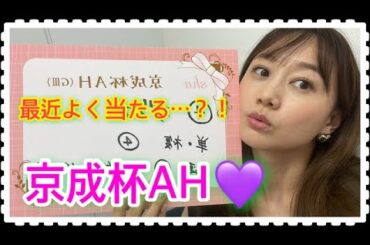 京成杯AHの予想をしました！| 高田秋のほろよい気分