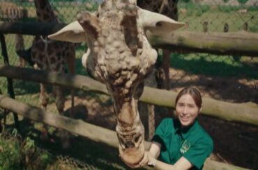 広瀬アリスさん出演「人生なんて きっかけひとつ。ウガンダ・エンテベ」篇／JICA海外協力隊 2024年秋募集 新TVCM