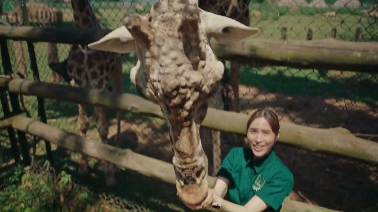 広瀬アリスさん出演「人生なんて きっかけひとつ。ウガンダ・エンテベ」篇/JICA海外協力隊 2024年秋募集 新TVCM 広瀬アリスさん出演「人生なんて きっかけひとつ。ウガンダ・エンテベ」篇/JICA海外協力隊 2024年秋募集 新TVCM