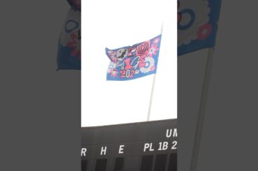 🥸「音楽と髭達2024」Highlight Movie🥸#NiziU #ニジュー #니쥬 #WithU#音髭 #音楽と髭達 #音楽と髭達2024#NiziU_SummerFestival