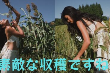 ローラ、肩出しヘソ出し大自然に囲まれた稲刈り姿に大反響「素敵な収穫ですね」