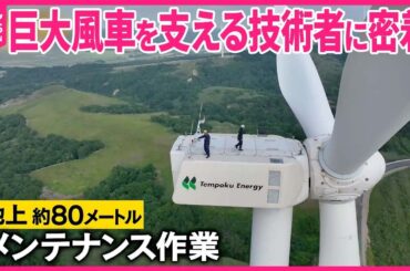 【「巨大風車」】地上80メートルの作業を支える新人技術者に密着『バンキシャ！』