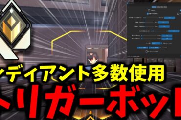 対策後も余裕で使えるトリガーボットが強すぎた... 【MellybotGUI】【VALORANT】