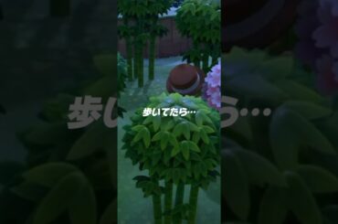 桜🌸見つけた！#shorts #あつ森