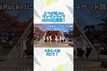 ふつか組.inc、1st(ラスト！？)ワンマンライブまであとほぼ1か月！ワンマンのチケットページはコチラ➡️t.livepocket.jp/e/nqh8tその他の情報については、Xをご確認ください！