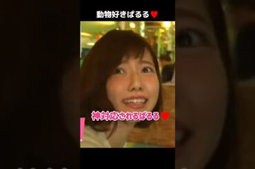【動物好きぱるる】神対応されるぱるる♥️ 【ぱるる部分のみ】 #島崎遥香 #ぱるる #AKB48 #横山由依 #加藤玲奈 #動物好き #Shorts