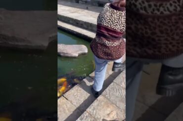 芸人歴1年のゆかち🐥⸒⸒まだまだ修行が足りません#福岡女子 #お笑い動画 #福岡 #ハプニング