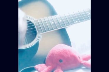 サビのみ弾き語り『愛を見せてくれませんか』(acoustic cover)