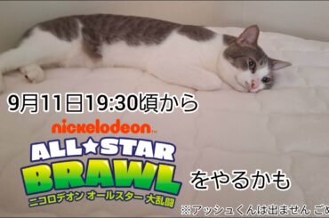 「二コロデオン オールスター大乱闘 アルティメットエディション」をやるかも 28