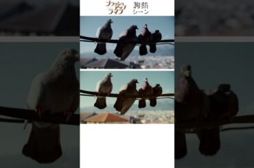 『 初回と最終回の鳩シーン 比べてみた 』ブラッシュアップライフ 胸熱シーン