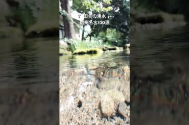 #信州名水100選#長野市#田舎#信州#東勝寺#みずの中######nagano