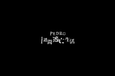 【特報】だいにぐるーぷ × PEDRO【PEDRO1週間逃亡生活】