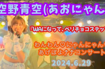 『WAになって、ベリチョコステップ！』空野青空(あおにゃん)/2024.6.29 わんわん♡にゃんにゃん♡あげぽよ⤴⤴コンサート(11周年記念ワンマンライブ)