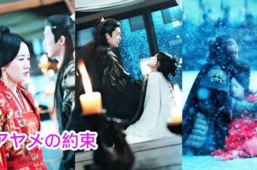 【アヤメの約束】彼女は、冷酷な敵国の王との結婚を強いられた王女だったが、彼は白岳光のために何度も彼女の心を踏みにじった。彼女はついに諦めて塔から飛び降りた。