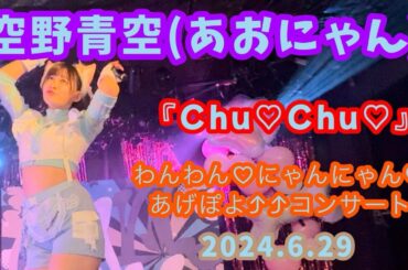 『Chu♡Chu♡』空野青空(あおにゃん)/2024.6.29 わんわん♡にゃんにゃん♡あげぽよ⤴⤴コンサート(11周年記念ワンマンライブ