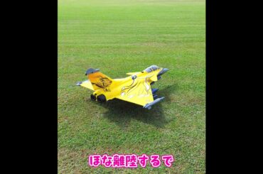 離陸するDassault Rafale C #ラジコン飛行機  #ラジコン