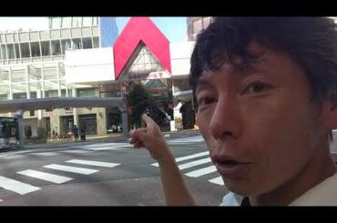 加藤美南ちゃんが1番だと再認識しました