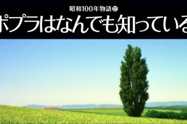 昭和100年物語12「ポプラはなんでも知っている」