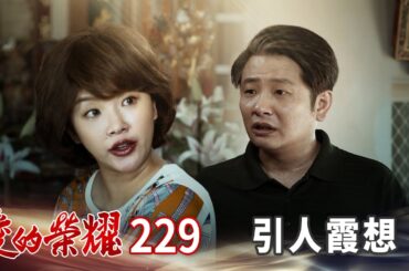 愛的榮耀 EP229 引人霞想｜Glory of Love