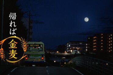 金麦『彼のお月見＋彼女のお月見』篇 30秒 柳楽優弥 黒木華 サントリー CM