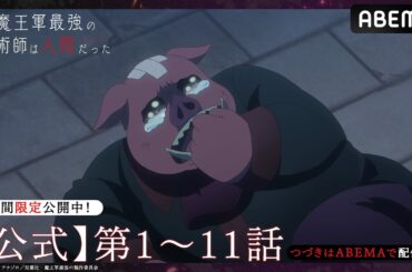 【3日間限定】 TVアニメ「魔王軍最強の魔術師は人間だった」【公式_1~11話】